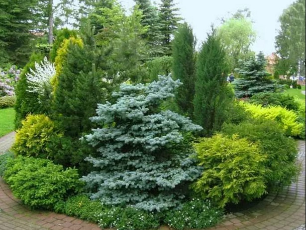 [Елена Письмак] Питомник вечнозеленых и декоративн_0.jpg